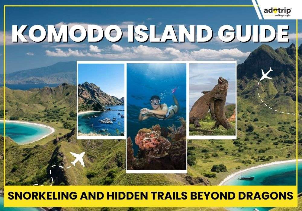 Komodo Island Guide